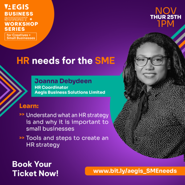 HR needs for the SME