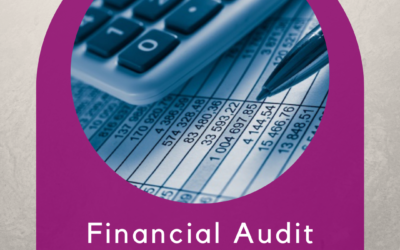 Planning an Audit for Your Business?