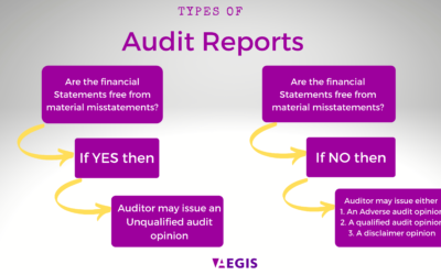 3 Types of Audit Opinions