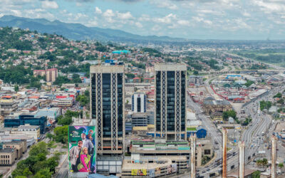 A Macro Systemic Frame For The TT Economy In A Disequilibrium Trap